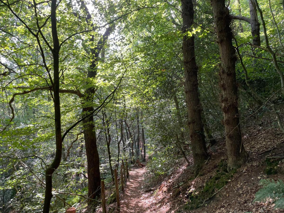 The Forester Schoorl Kültér fotó